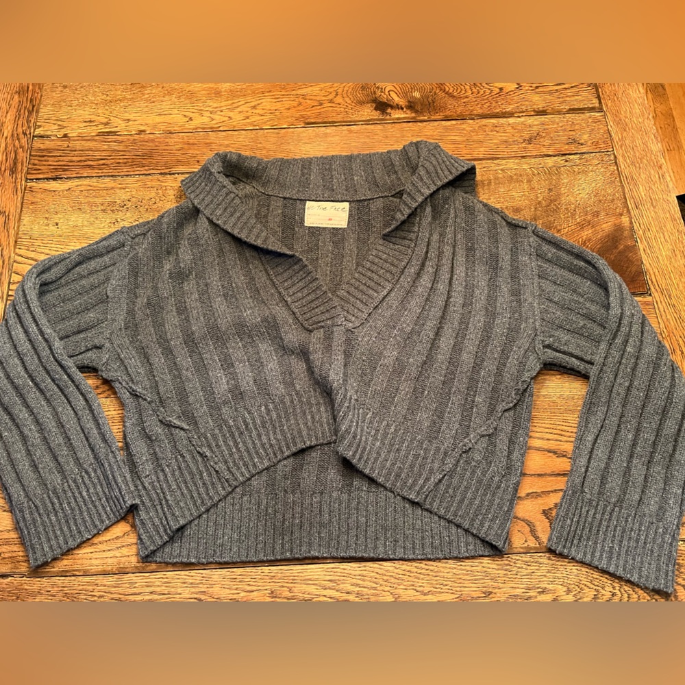 Free people Rudi sweater